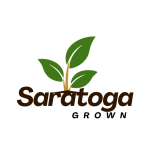 saratoga grown